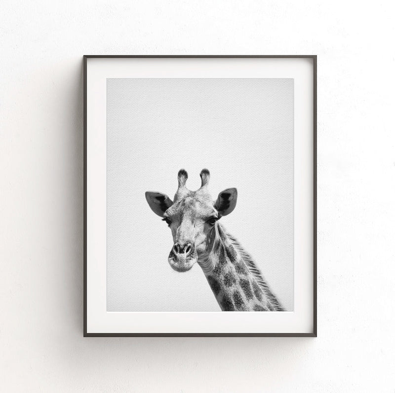 giraffe print nursery decor black white photo animal art 