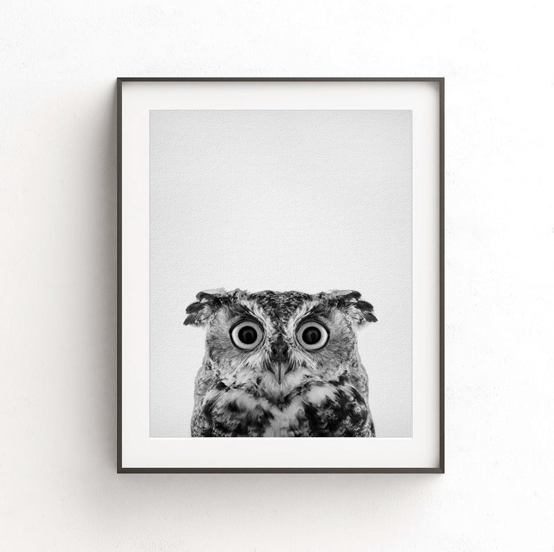 owl nursery print black white photo animal art 