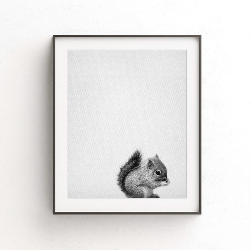squirrel print nursery decor black white photo animal art 
