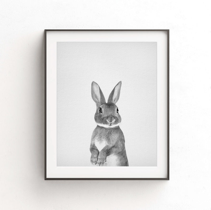 rabbit print nursery decor black white photo animal art 